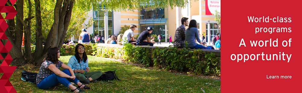 important choices in life essay important choices in life essay